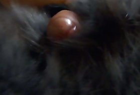 Vaizdo xxx brandi moteris, kuri tania lytis trumpas video